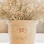 Grand Wiesler - Centre Of Hotel Graz