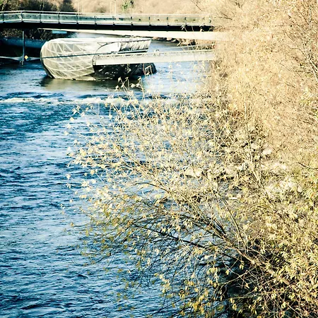 Grand Wiesler - Centre Of 4* غراتس