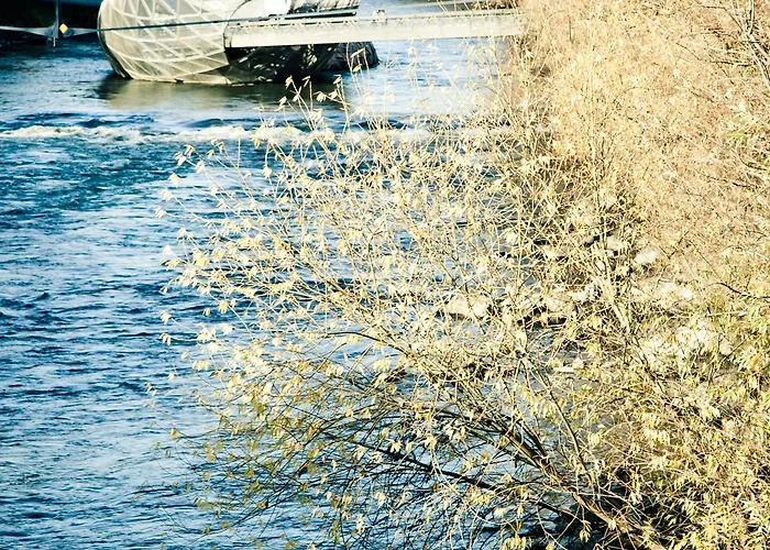 Grand Wiesler - Centre Of 4* Грац